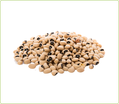 legumes_1
