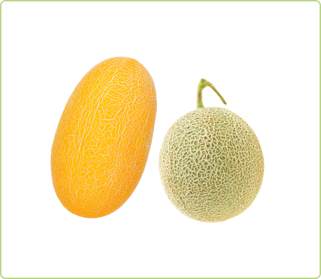 melons_1