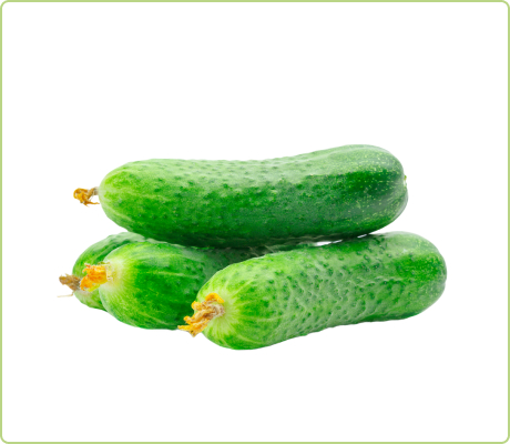 vegetables_14