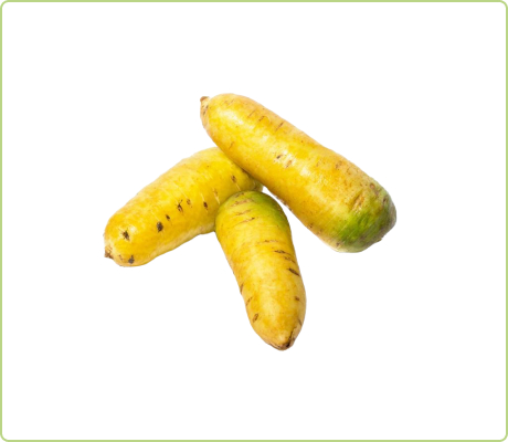 vegetables_15